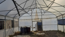 900 m2 Torpaq, Satış, Xaçmaz