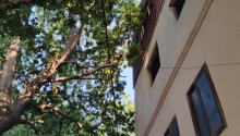 2 otaqlı Villa / Həyət evi