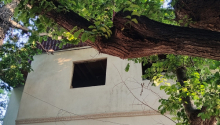 2 otaqlı Villa / Həyət evi, Satış, Bakı, Xətai