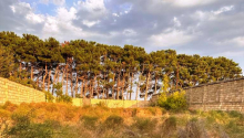 8 sot Torpaq, Satış, Abşeron