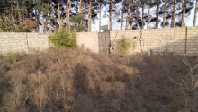 8 sot Torpaq, Satış, Abşeron