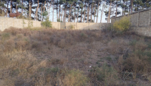 8 sot Torpaq, Satış, Abşeron