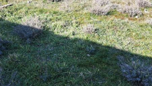 15 sot Torpaq, Satış, Bakı, Səbail