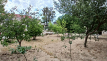 3 otaqlı Bağ evləri, Satış, Bakı, Yasamal, Koroğlu