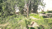 4 sot Torpaq, Satış, Bakı, Nərimanov, Gənclik