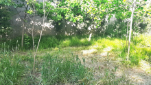 4 sot Torpaq, Satış, Bakı, Nərimanov, Gənclik