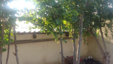 3 otaqlı Villa / Həyət evi, Kirayə (aylıq), Bakı, Binəqədi