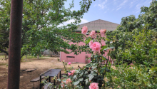 4 otaqlı Bağ evləri, Satış, Abşeron