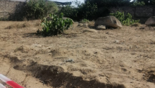 10 sot Torpaq, Satış, Bakı, Xəzər