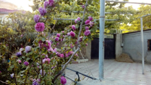 6 otaqlı Villa / Həyət evi, Kirayə (aylıq), Bakı, Binəqədi