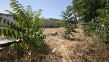 6 sot Torpaq, Satış, Bakı, Xəzər