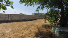 6 sot Torpaq, Satış, Bakı, Xəzər
