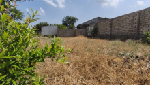 6 sot Torpaq, Satış, Bakı, Xəzər