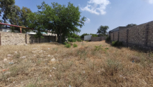 6 sot Torpaq, Satış, Bakı, Xəzər