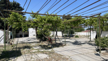 5 otaqlı Villa / Həyət evi