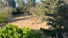 4 otaqlı Bağ evləri, Satış, Bakı, Xəzər