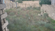 2 sot Torpaq, Satış, Bakı, Xəzər