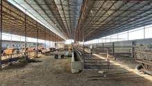 10 otaqlı Obyekt, Satış, Şirvan
