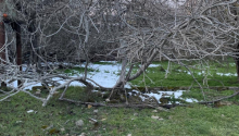 9 sot Torpaq, Satış, Bakı, Sabunçu