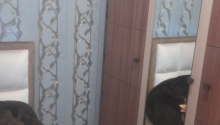 2 otaqlı Köhnə tikili, Satış, Bakı, Nəsimi, Memar Əcəmi