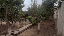 5 otaqlı Villa / Həyət evi, Kirayə (aylıq), Bakı, Binəqədi