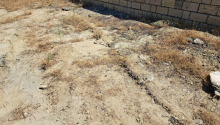 2 sot Torpaq, Satış, Abşeron