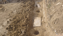 6 sot Torpaq, Satış, Bakı, Səbail