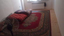 3 otaqlı Yeni tikili, Satış, Xırdalan