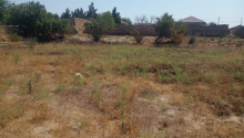 15 sot Torpaq, Satış, Bakı, Xəzər