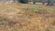 15 sot Torpaq, Satış, Bakı, Xəzər