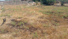 15 sot Torpaq, Satış, Bakı, Xəzər