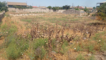 15 sot Torpaq, Satış, Bakı, Xəzər