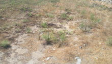 15 sot Torpaq, Satış, Bakı, Xəzər