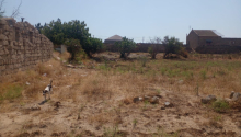 15 sot Torpaq, Satış, Bakı, Xəzər