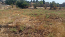 15 sot Torpaq, Satış, Bakı, Xəzər