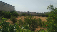 6 sot Torpaq, Satış, Bakı, Xəzər