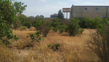 6 sot Torpaq, Satış, Bakı, Xəzər
