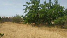 6 sot Torpaq, Satış, Bakı, Xəzər