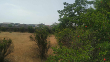 6 sot Torpaq, Satış, Bakı, Xəzər
