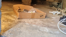 3 otaqlı Villa / Həyət evi, Satış, Bakı, Suraxanı, Koroğlu