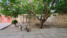 4 otaqlı Villa / Həyət evi, Satış, Abşeron