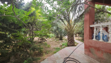 3 otaqlı Bağ evləri, Satış, Bakı, Xəzər