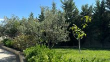 10 otaqlı Bağ evləri, Satış, Abşeron