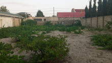 8 sot Torpaq, Satış, Abşeron