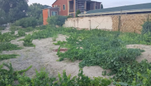 8 sot Torpaq, Satış, Abşeron