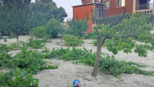 8 sot Torpaq, Satış, Abşeron