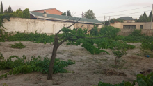 8 sot Torpaq, Satış, Abşeron