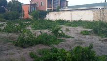 8 sot Torpaq, Satış, Abşeron