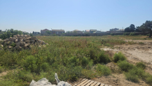 24 sot Torpaq, Satış, Bakı, Xəzər