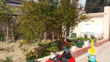 4 otaqlı Villa / Həyət evi